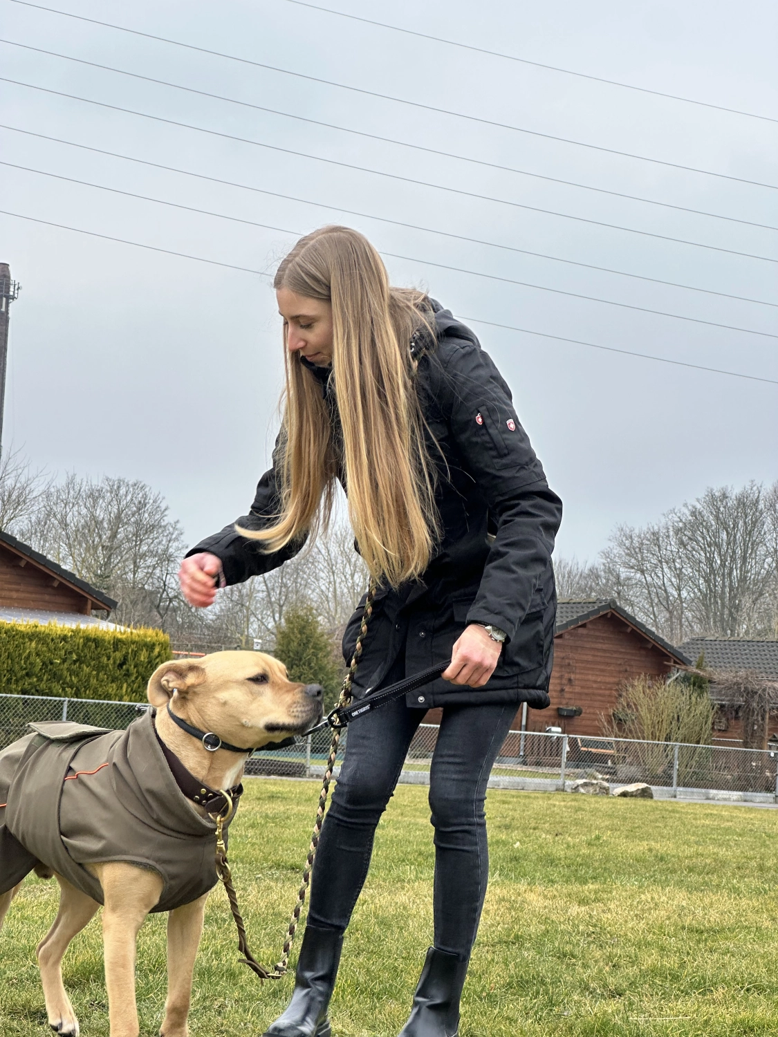 Mann leistet dem Hund Erste Hilfe von FellFibel