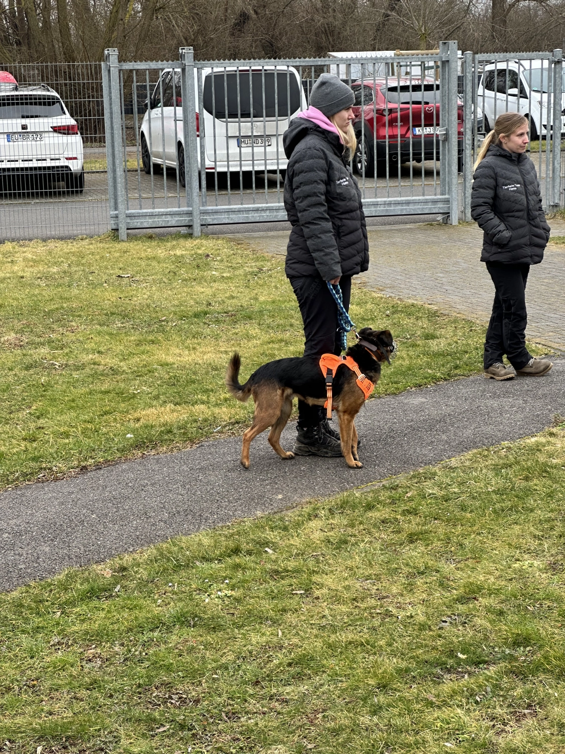 Mann leistet dem Hund Erste Hilfe von FellFibel