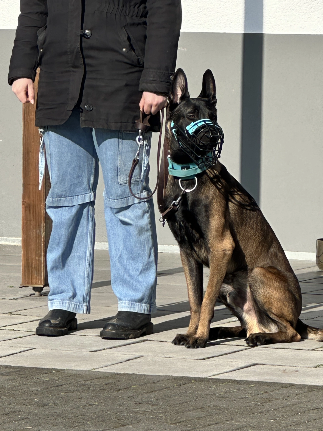 Mann leistet dem Hund Erste Hilfe von FellFibel