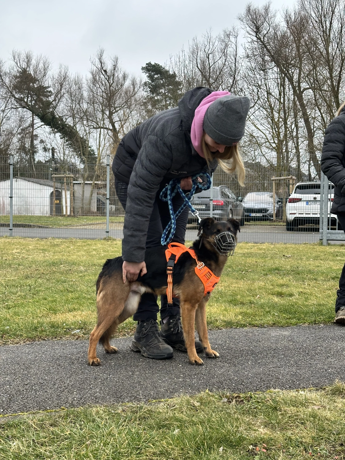 Mann leistet dem Hund Erste Hilfe von FellFibel