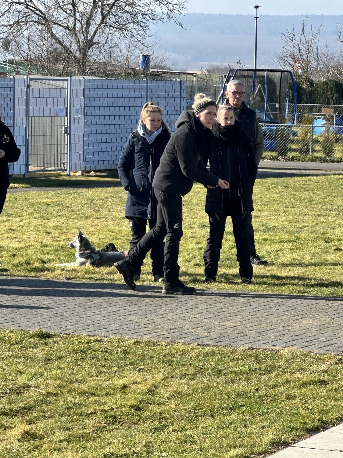 Mann leistet dem Hund Erste Hilfe von FellFibel