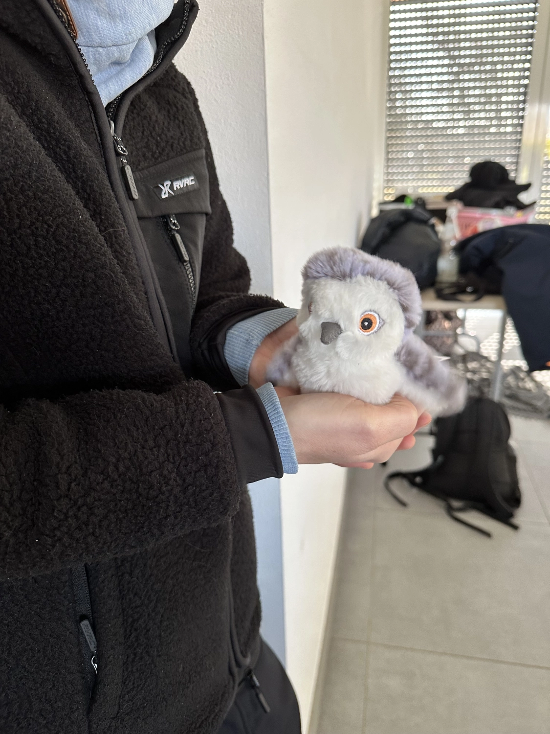 Mann leistet dem Hund Erste Hilfe von FellFibel