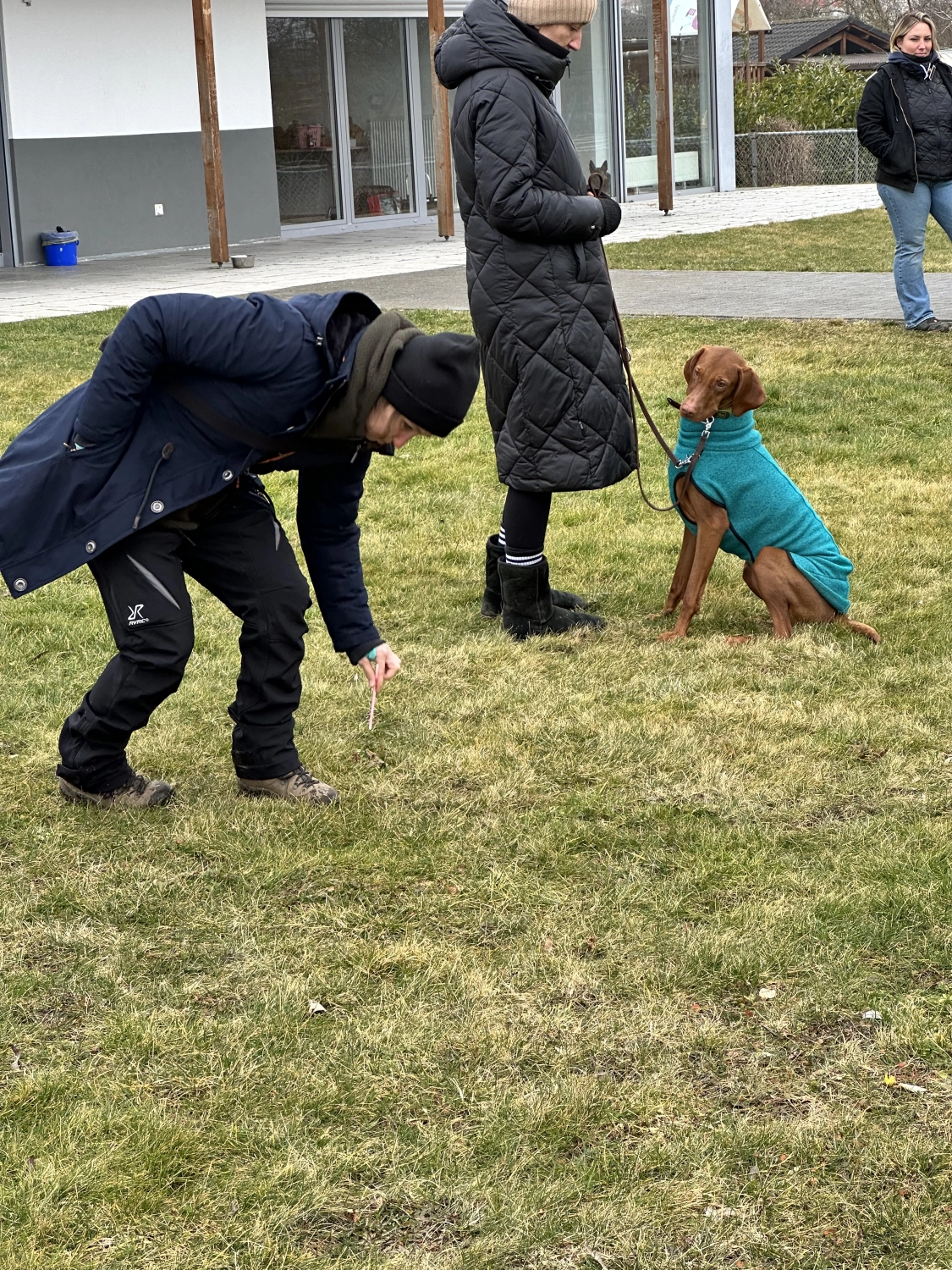 Mann leistet dem Hund Erste Hilfe von FellFibel