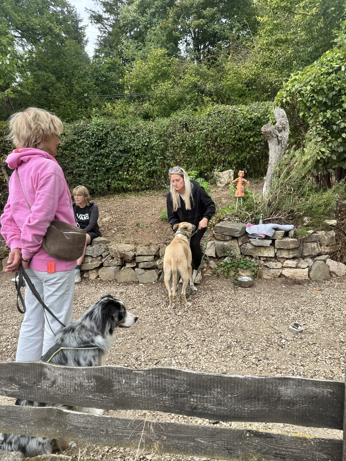 Mann leistet dem Hund Erste Hilfe von FellFibel