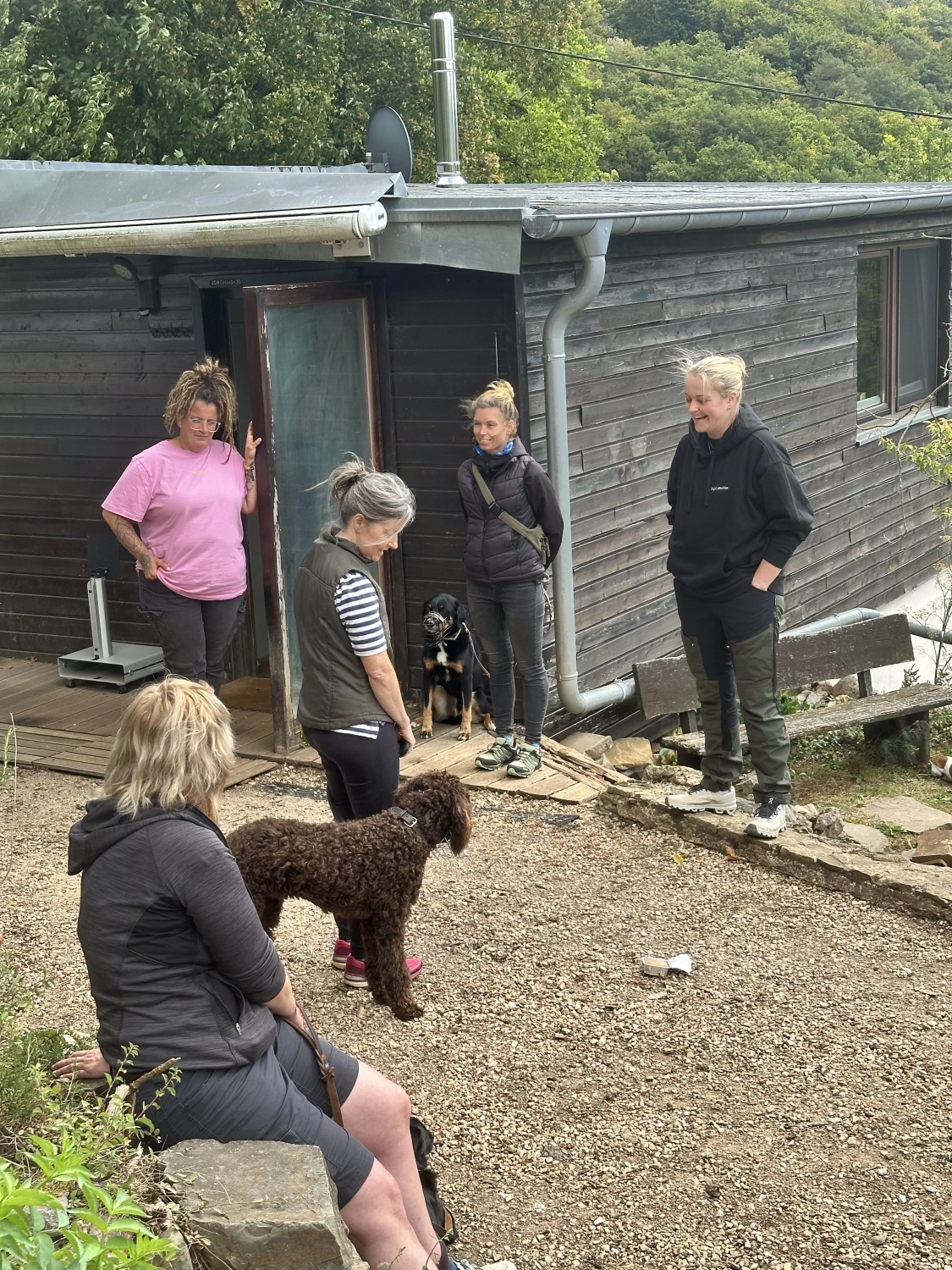 Mann leistet dem Hund Erste Hilfe von FellFibel