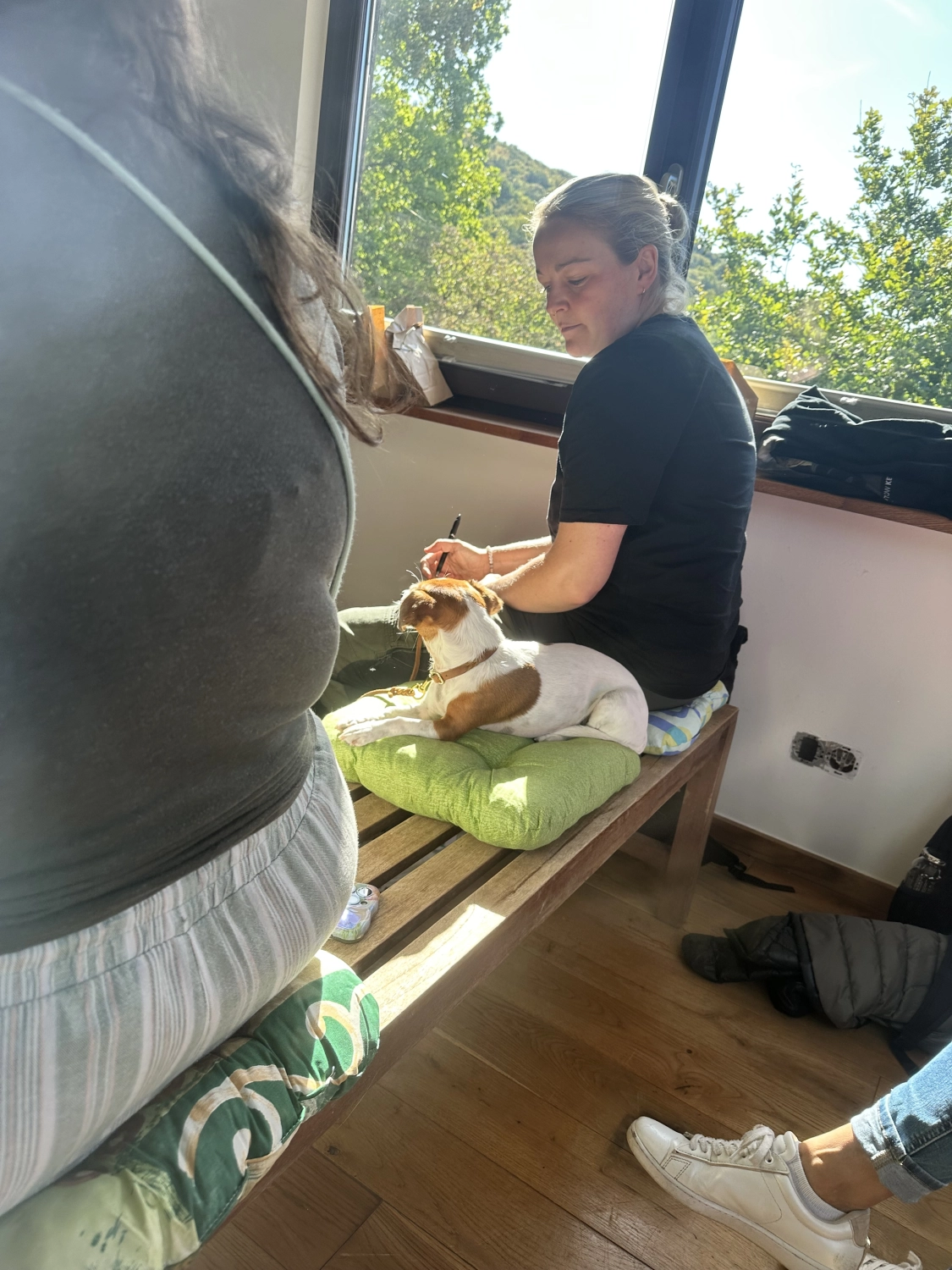 Mann leistet dem Hund Erste Hilfe von FellFibel