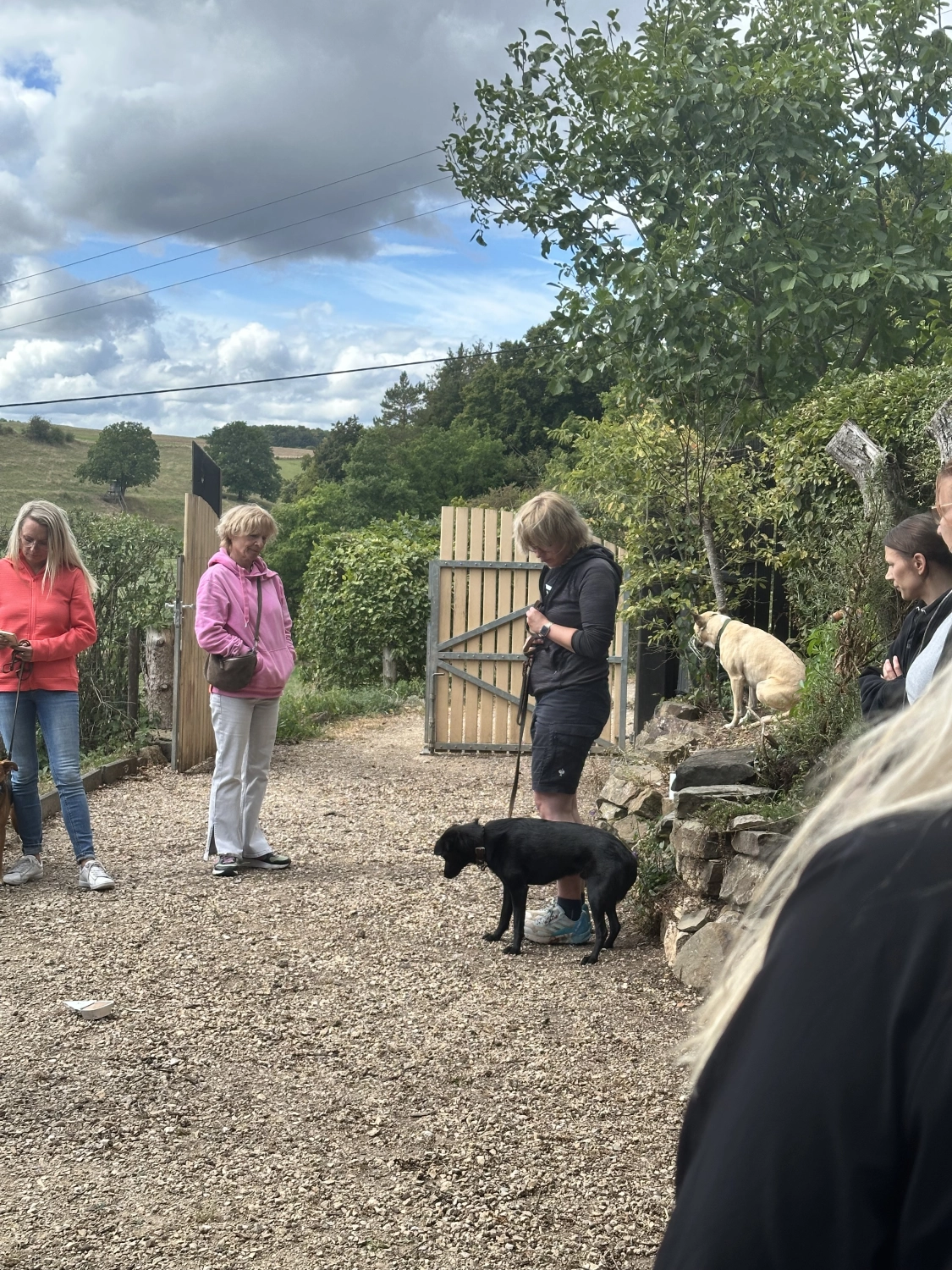 Mann leistet dem Hund Erste Hilfe von FellFibel