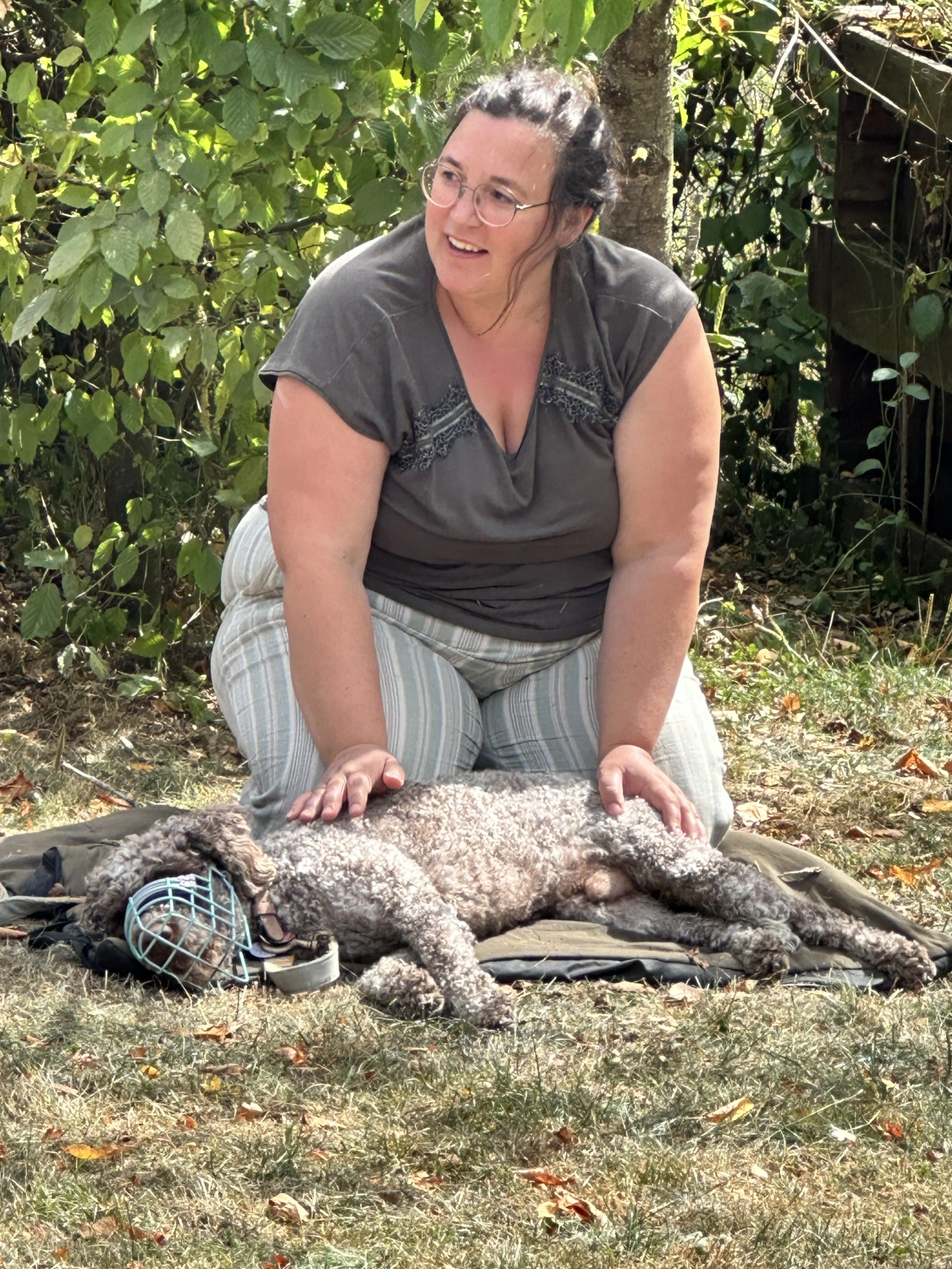 Mann leistet dem Hund Erste Hilfe von FellFibel