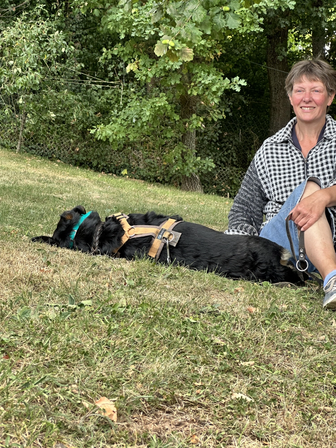 Mann leistet dem Hund Erste Hilfe von FellFibel