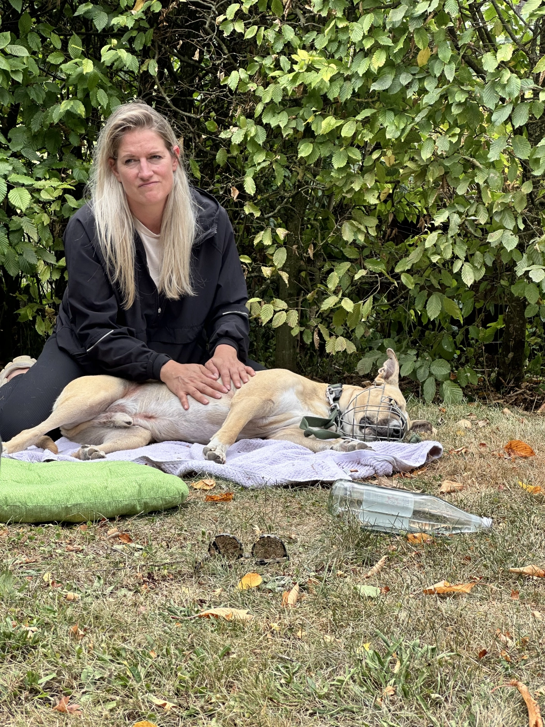 Mann leistet dem Hund Erste Hilfe von FellFibel