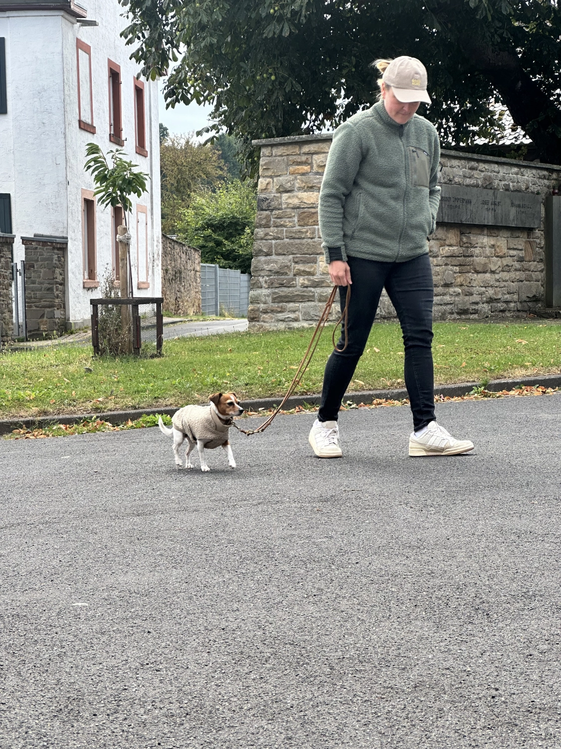 Mann leistet dem Hund Erste Hilfe von FellFibel