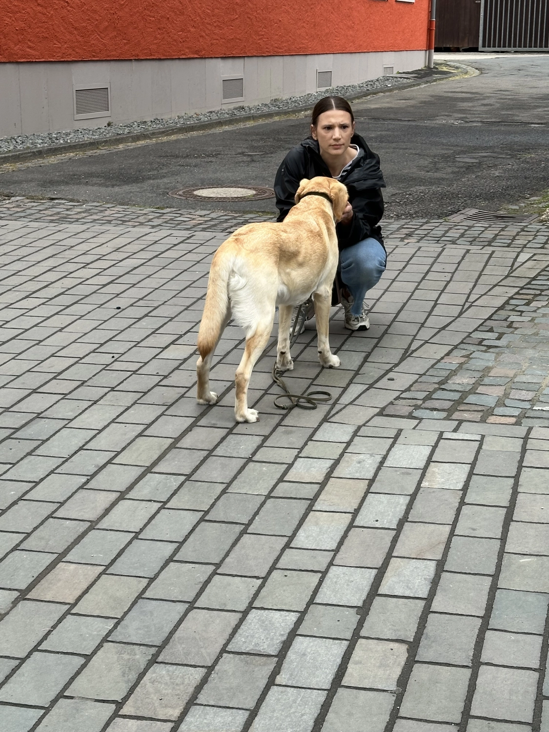 Mann leistet dem Hund Erste Hilfe von FellFibel