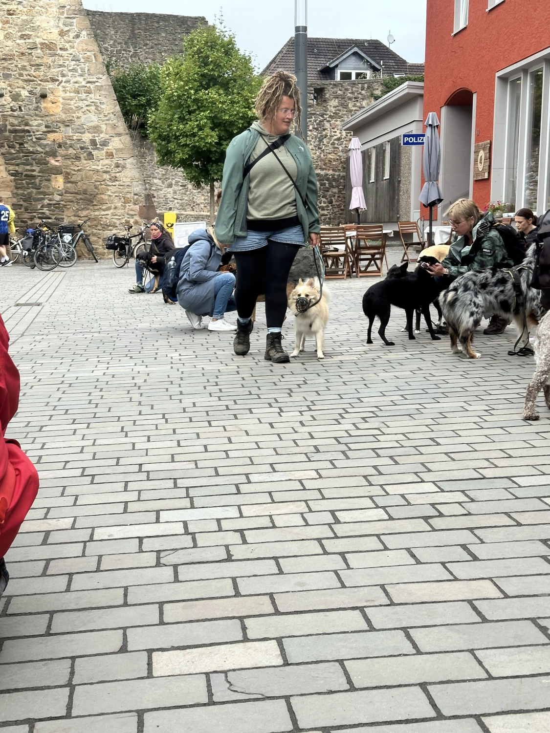 Mann leistet dem Hund Erste Hilfe von FellFibel