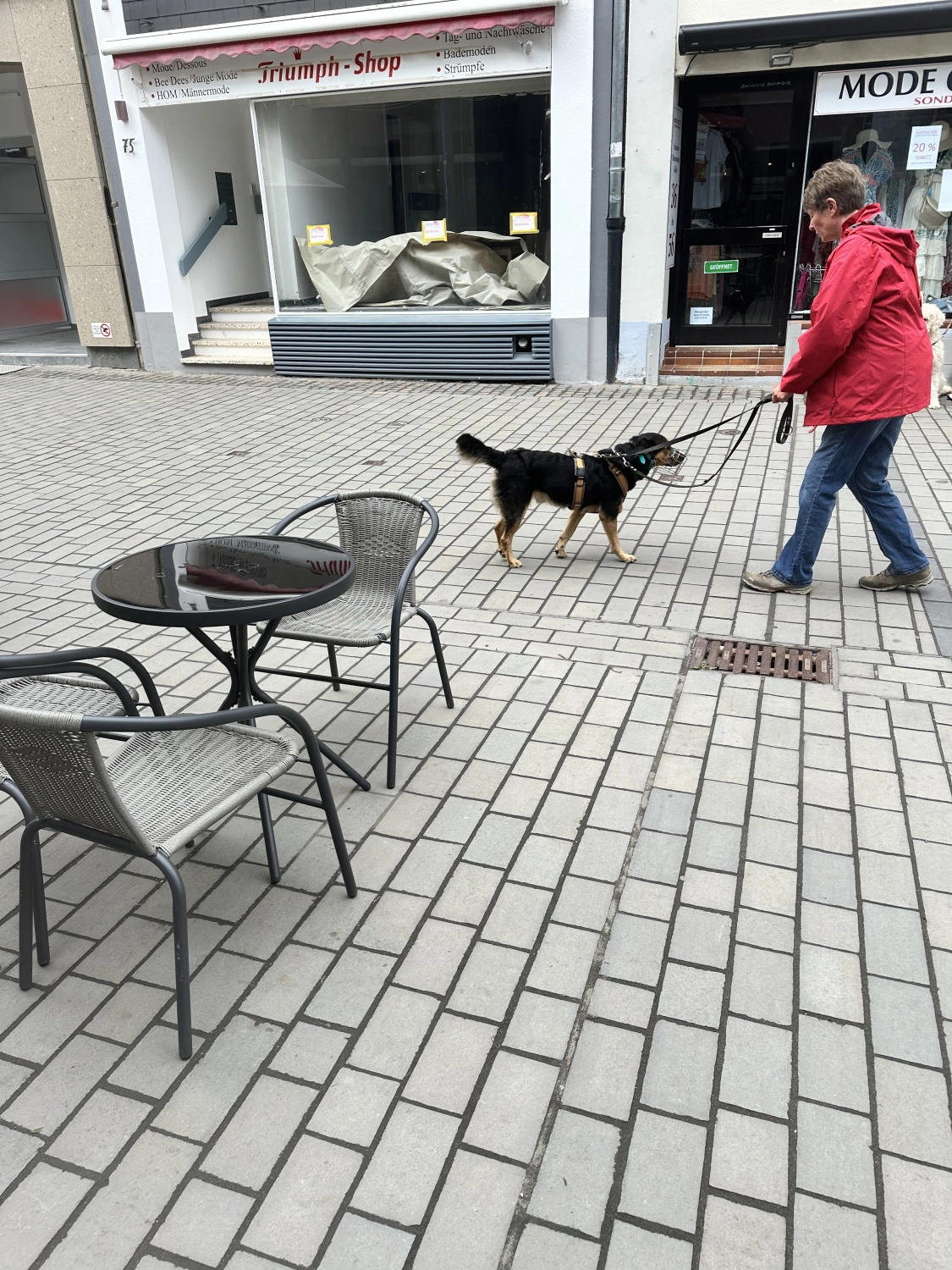 Mann leistet dem Hund Erste Hilfe von FellFibel