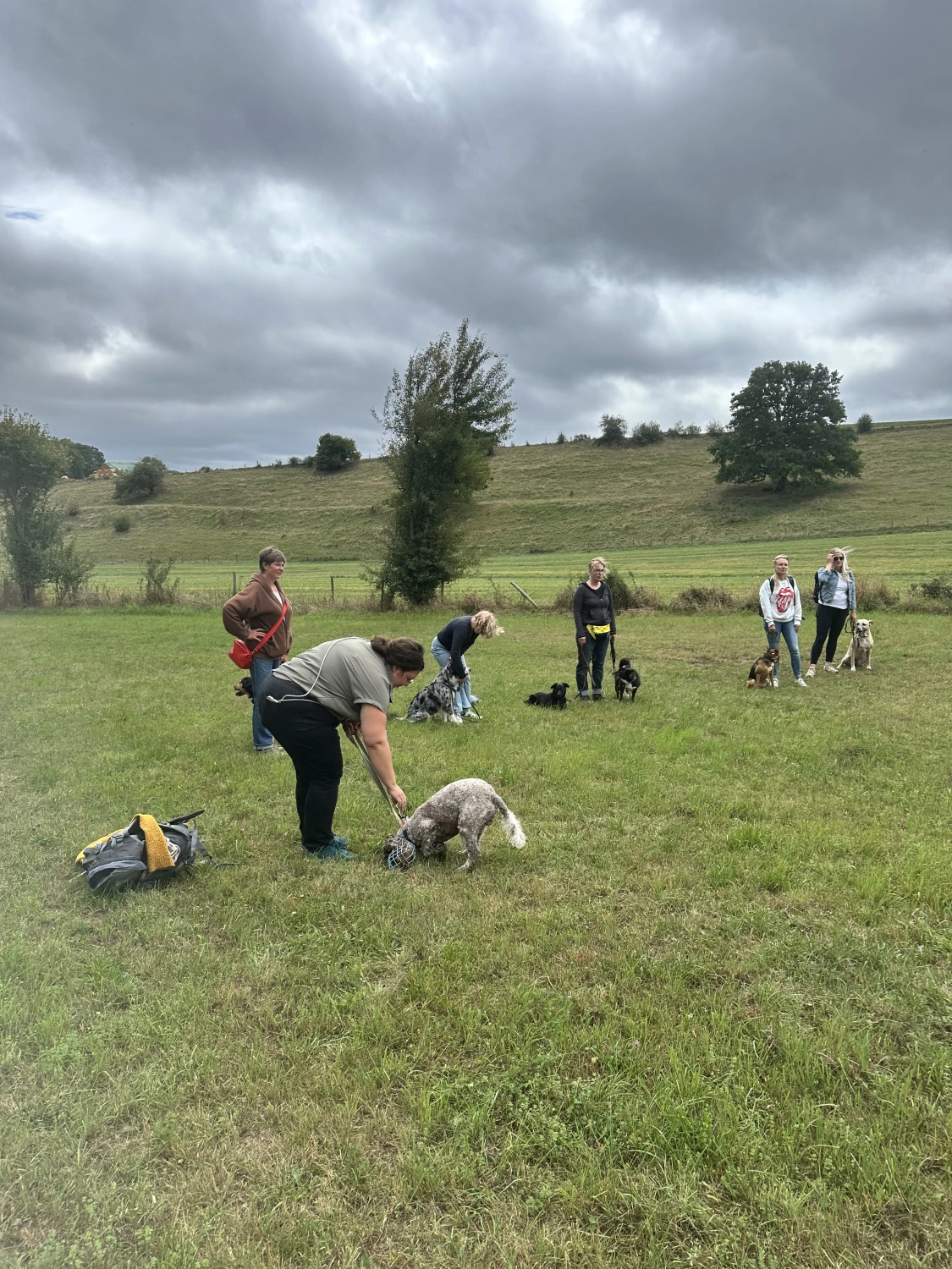 Mann leistet dem Hund Erste Hilfe von FellFibel