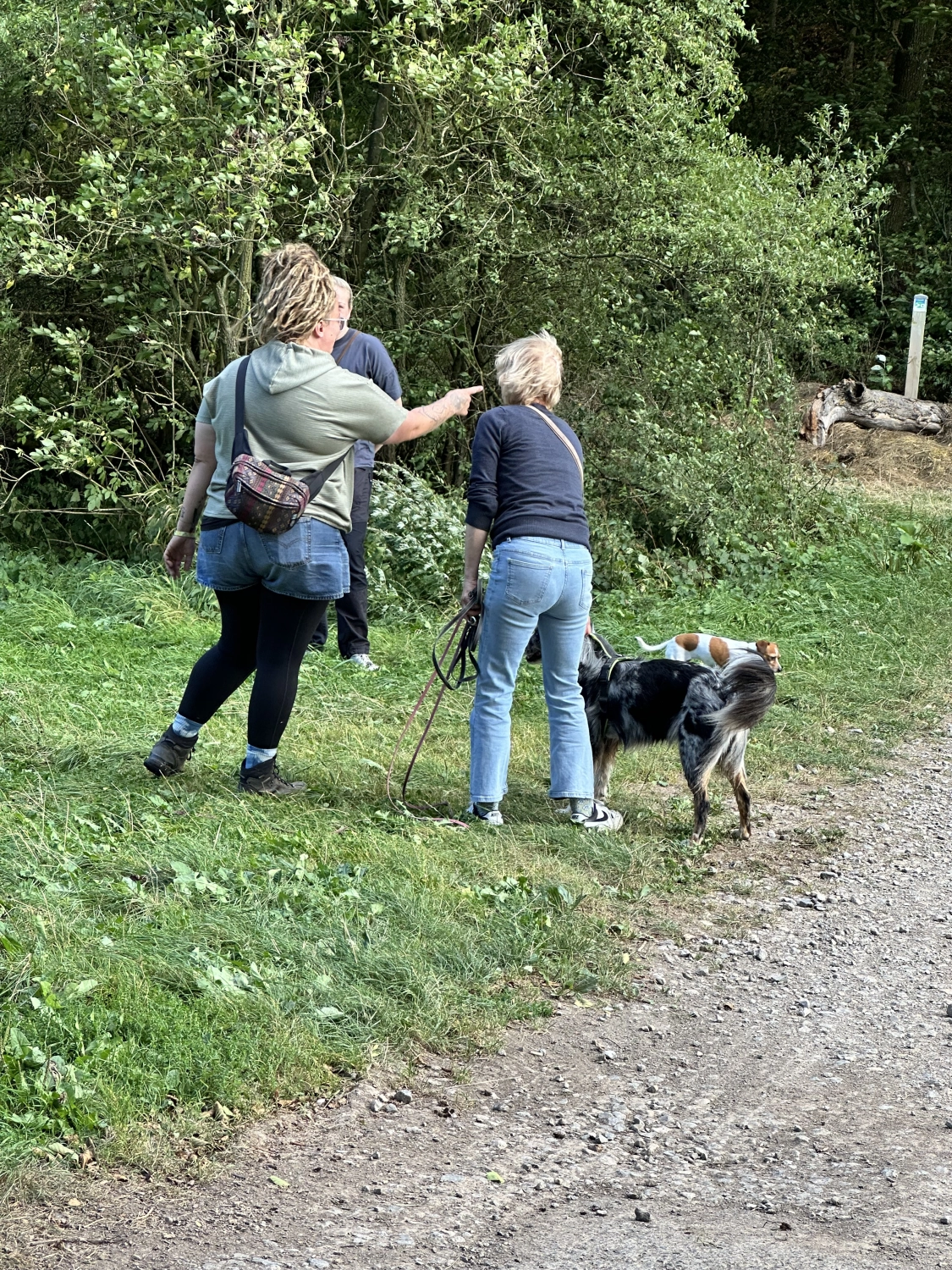 Mann leistet dem Hund Erste Hilfe von FellFibel