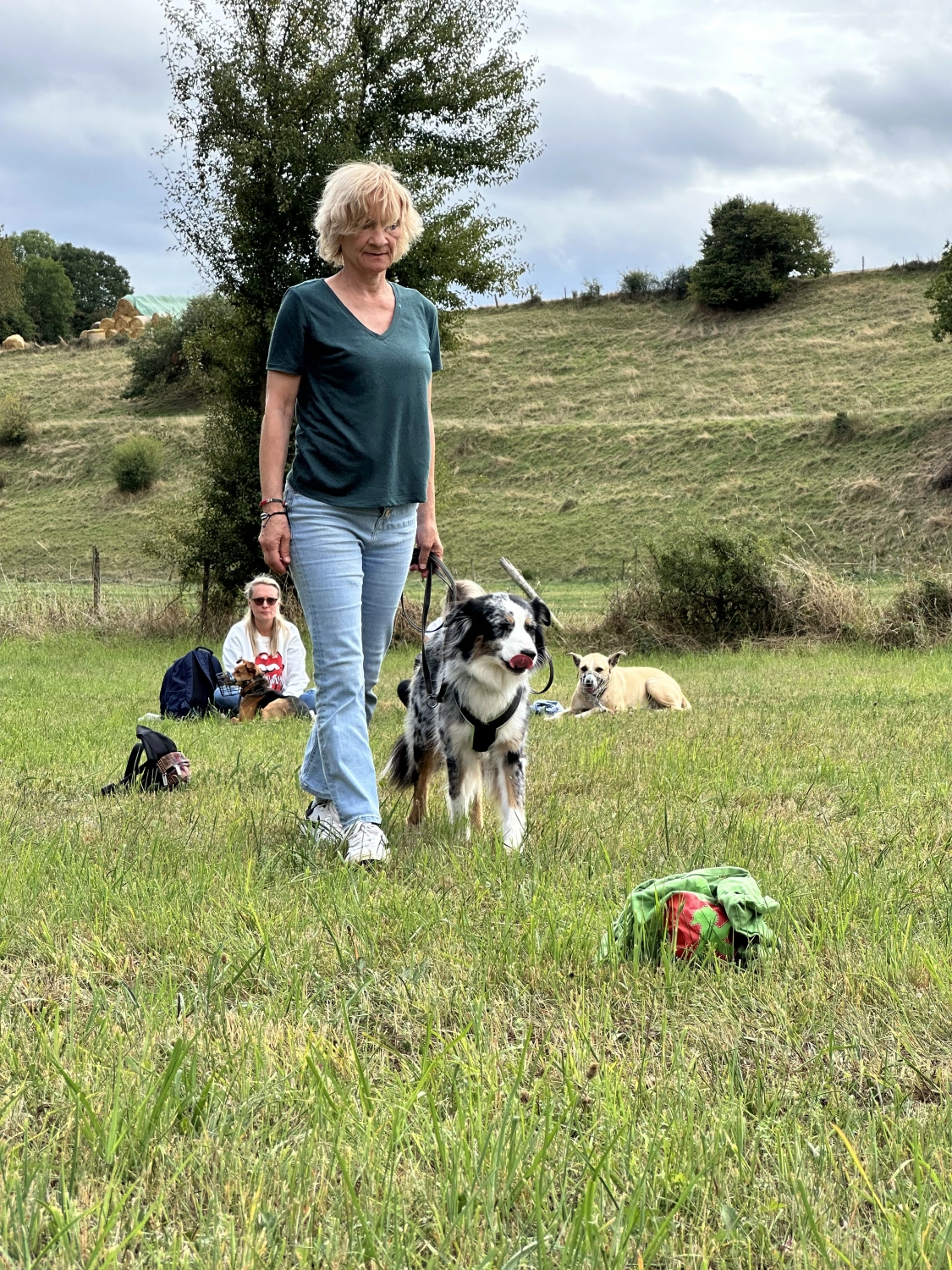 Mann leistet dem Hund Erste Hilfe von FellFibel