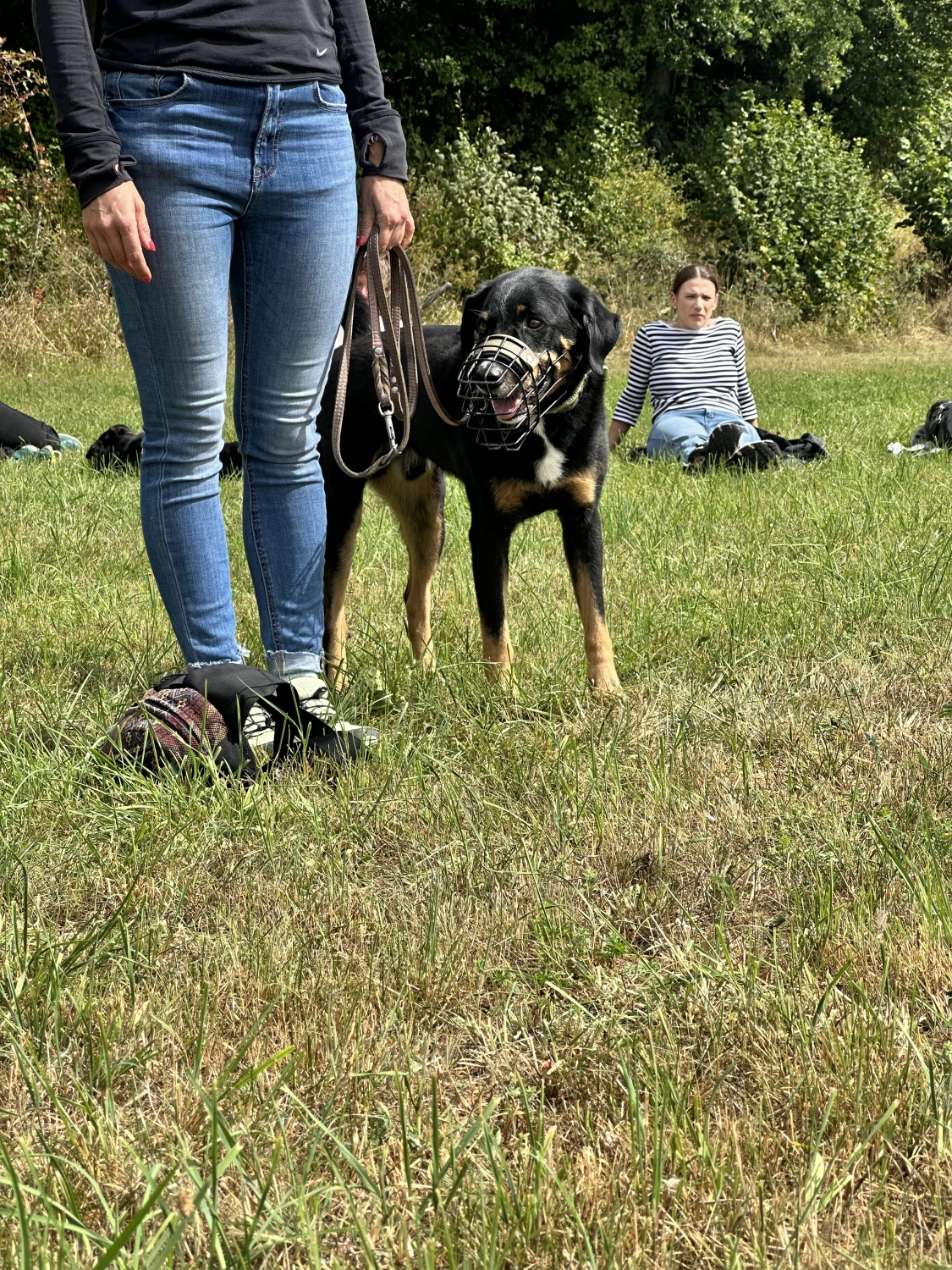 Mann leistet dem Hund Erste Hilfe von FellFibel