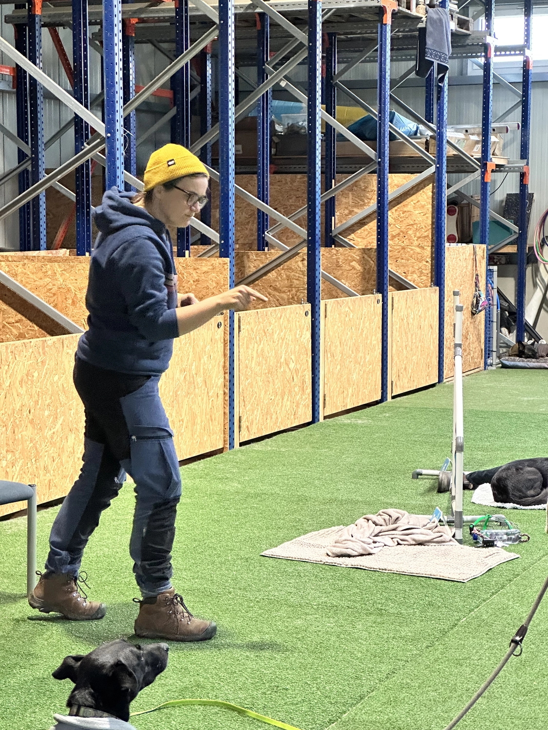 Ein Mann mit einer Hundecollage