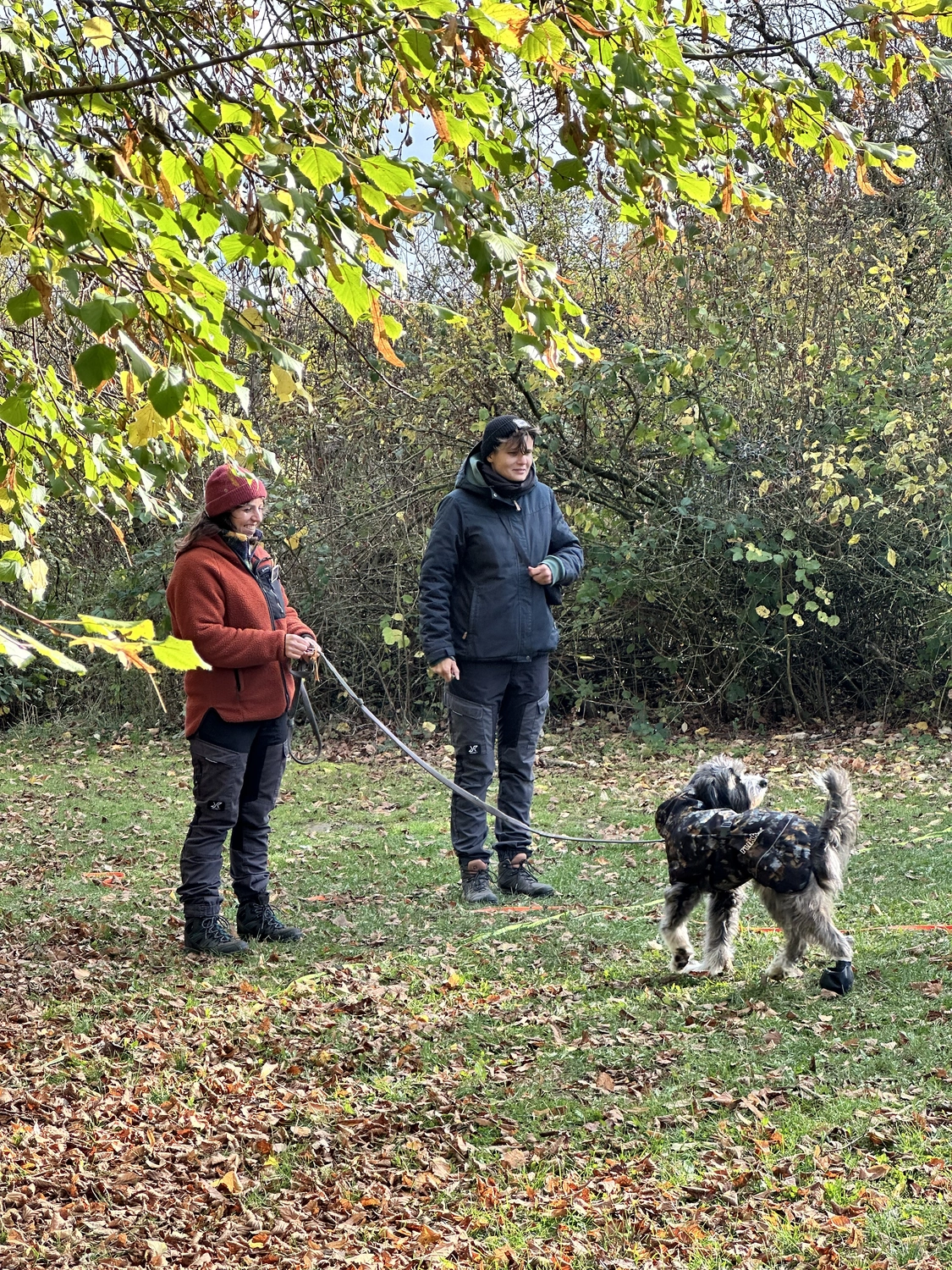 Ein Mann mit einer Hundecollage