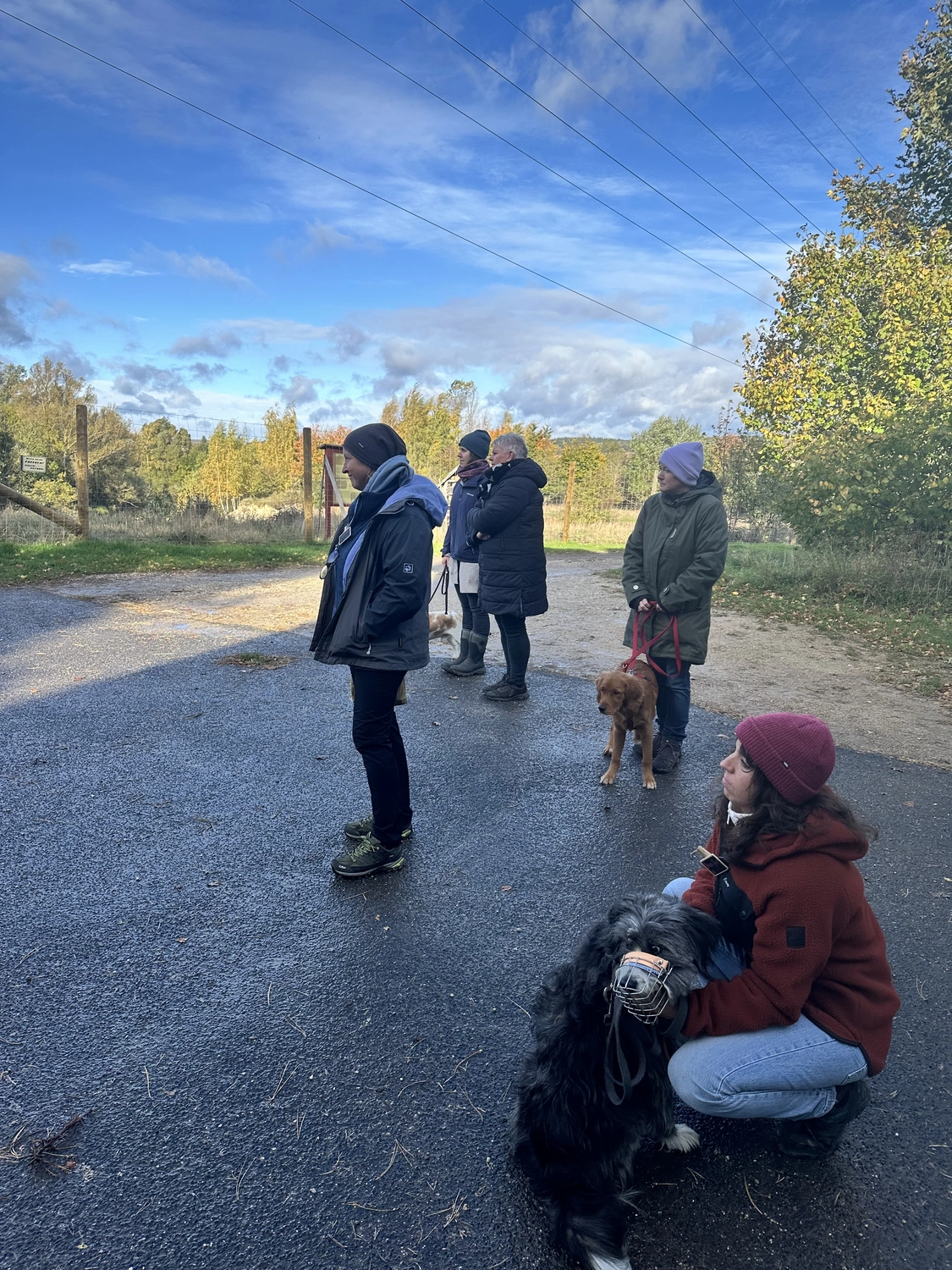 Ein Mann mit einer Hundecollage