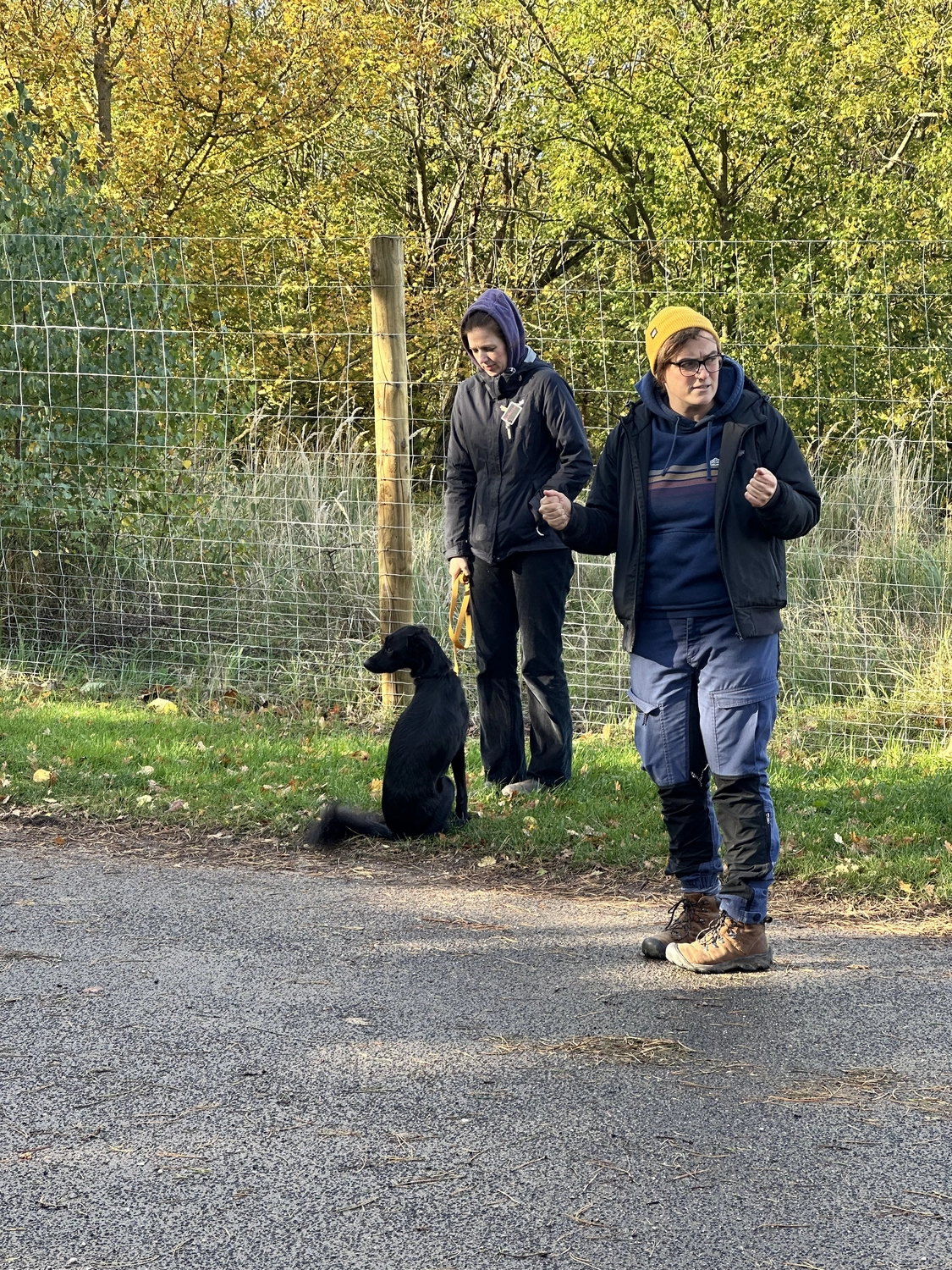 Ein Mann mit einer Hundecollage