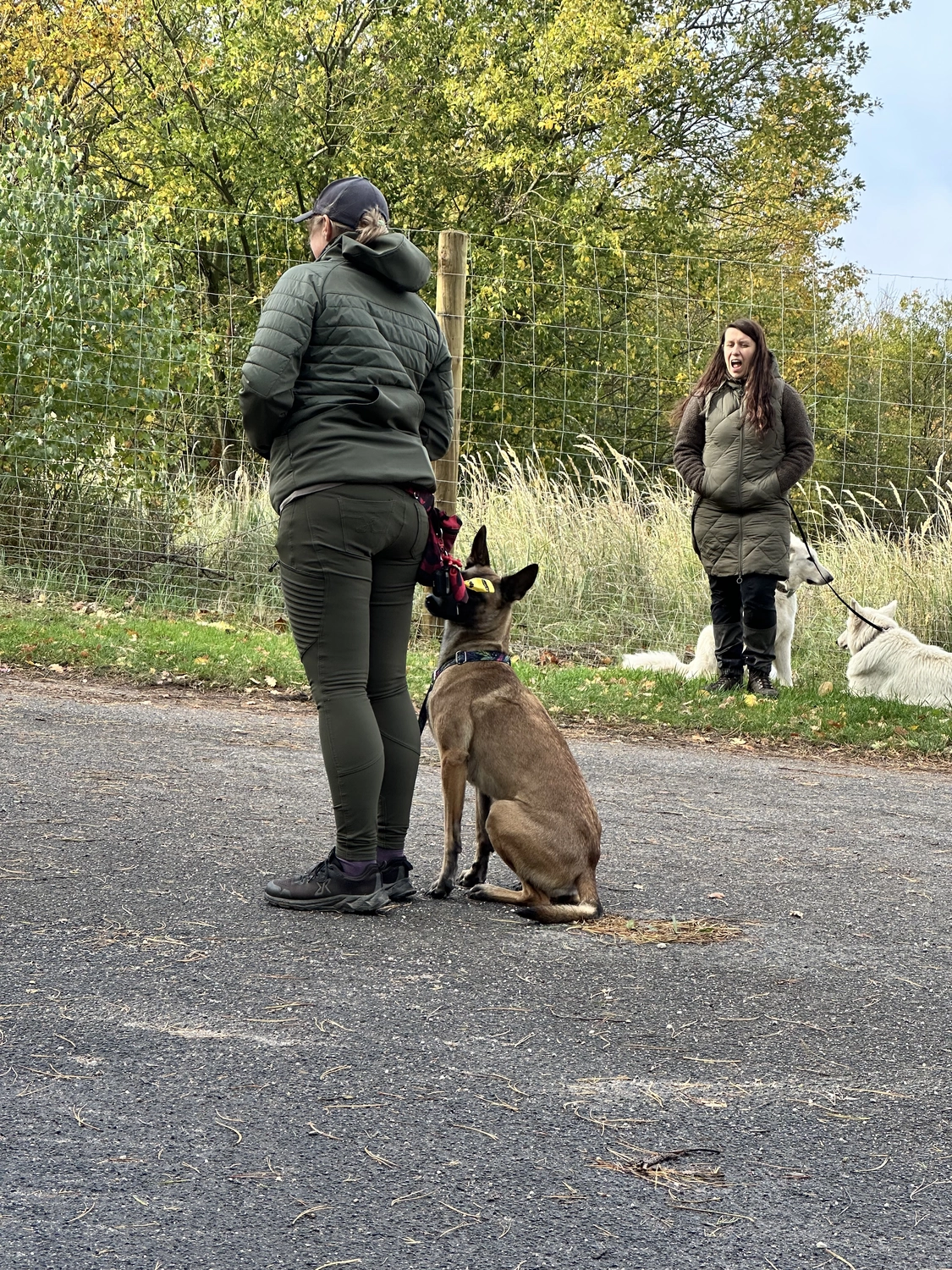 Ein Mann mit einer Hundecollage