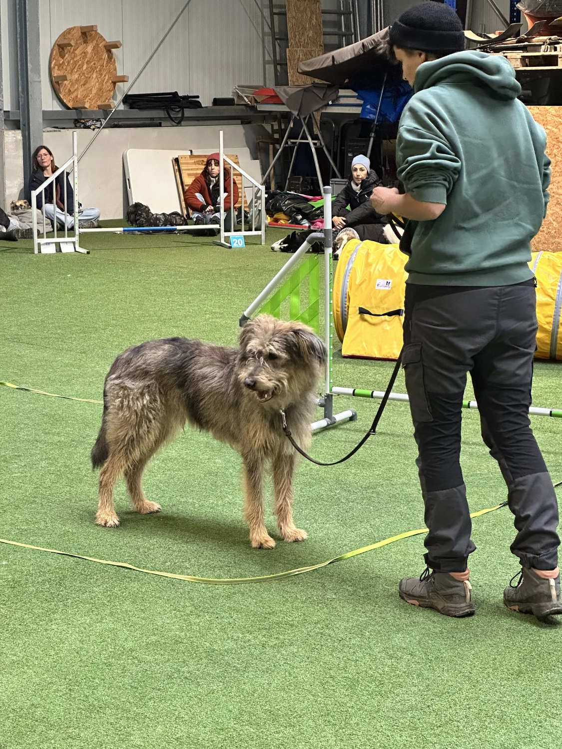 Ein Mann mit einer Hundecollage