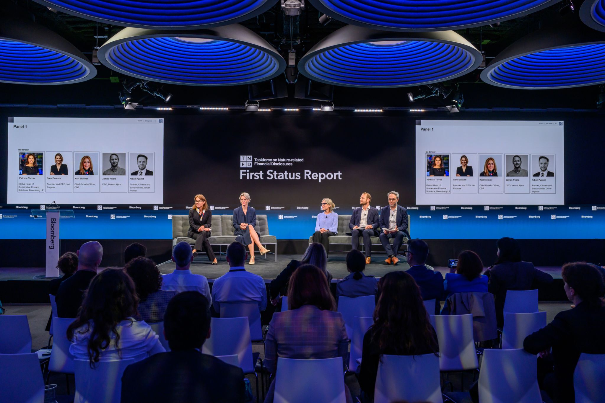 Responsible Capital Analysis for TNFD 2025 Status Report