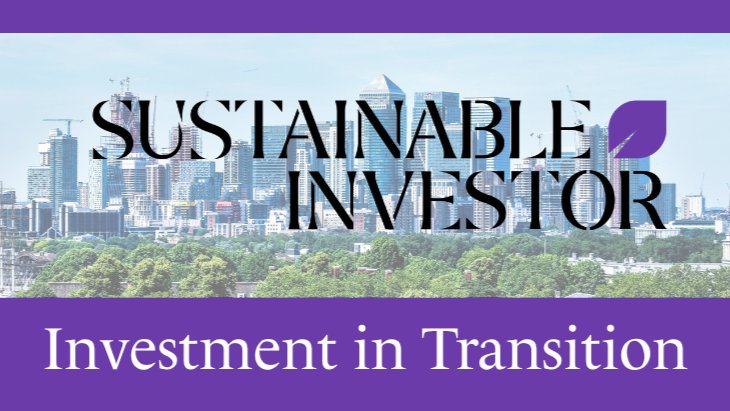 Sustainable Investor interview - AI: All Aboard the Runaway Train?