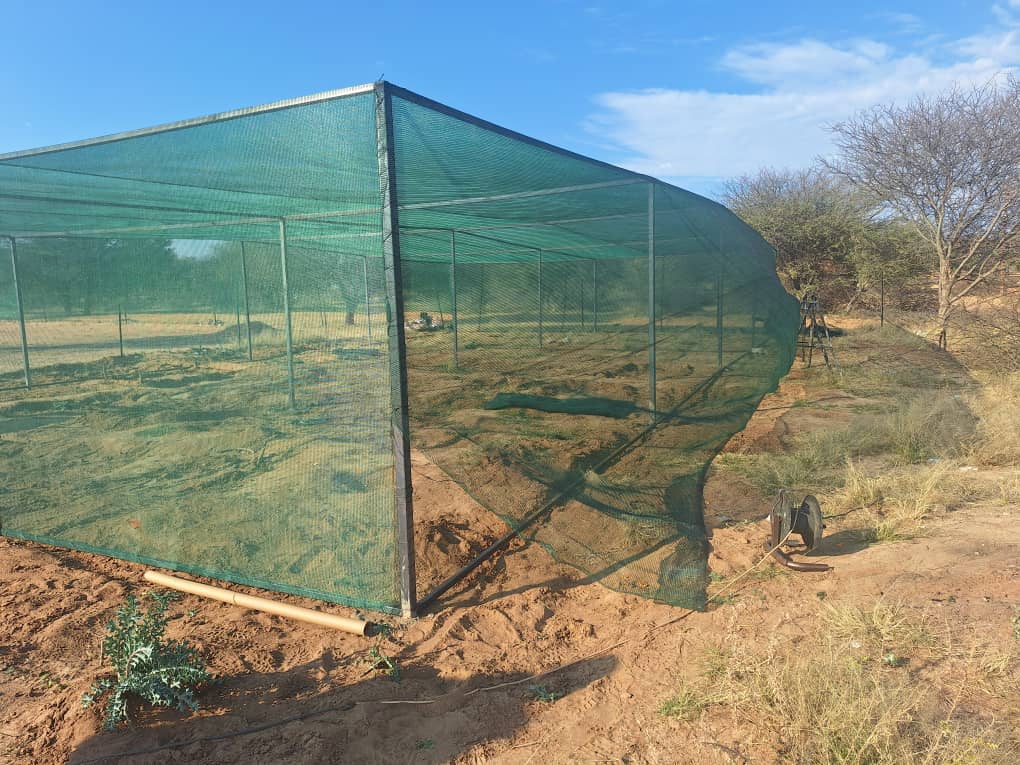 2025 - Green houses für die Morukutu Primary School