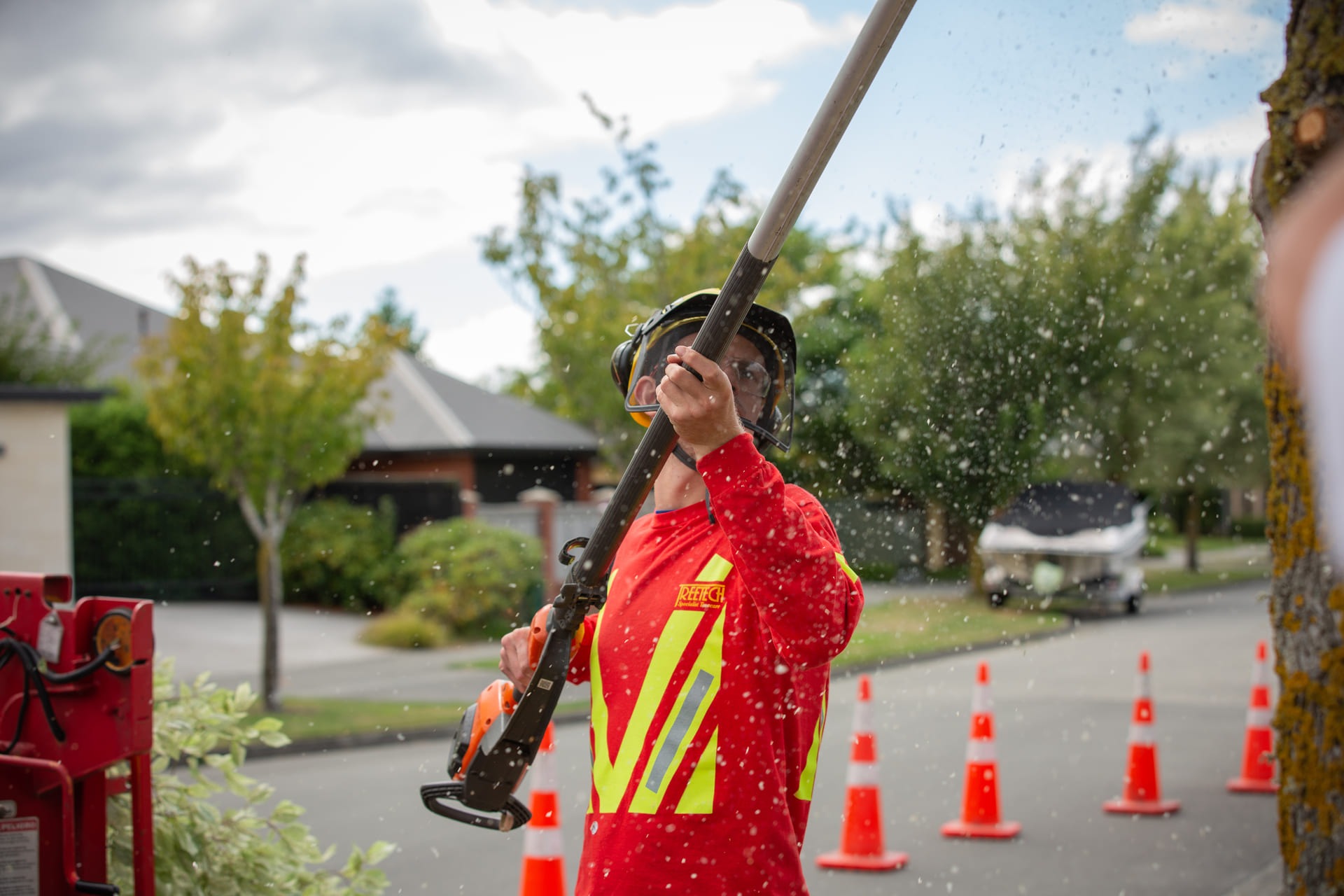 Treetech arborist trimming trees on a Christchurch street with a pole pruner