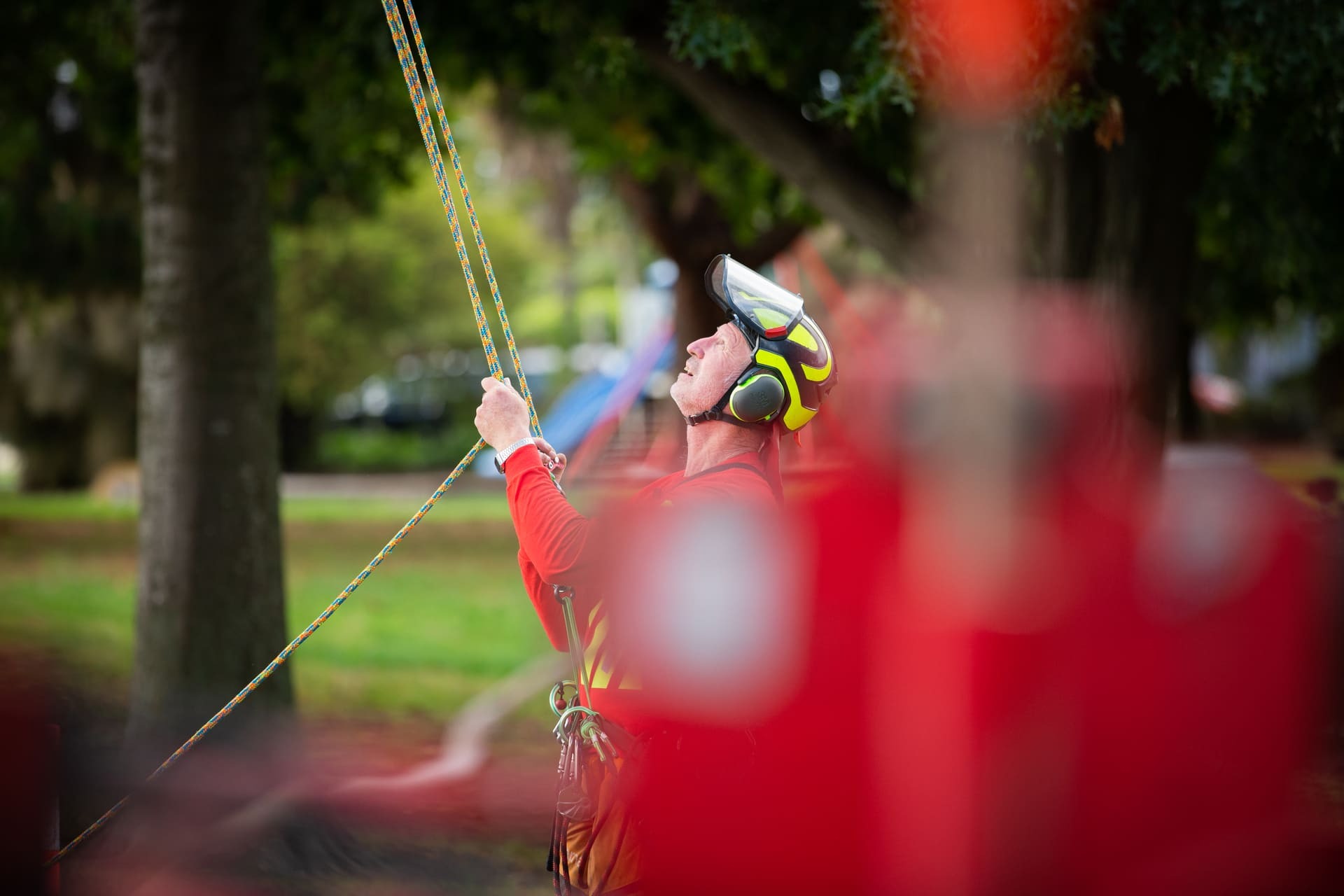 Qualified Treetech arborist working safely at height with ropes and a harness