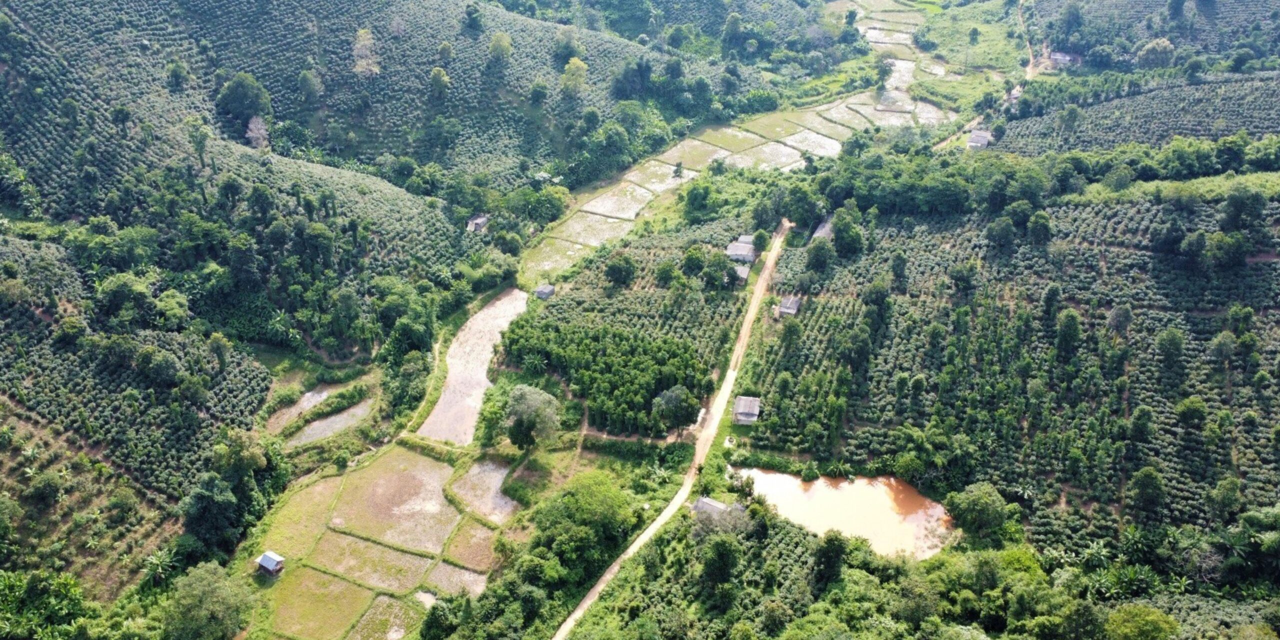 Overview of Khe Sang Crop