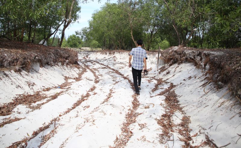 White Sand of Phong Dien Province