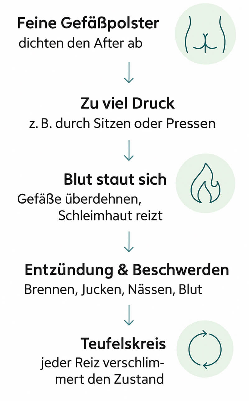 Hemo Relief Schritte