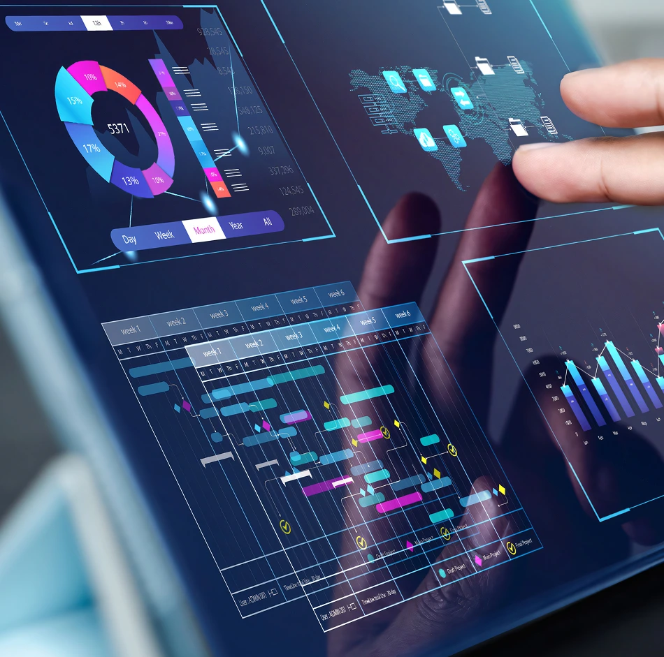 Custom Project Management Solution