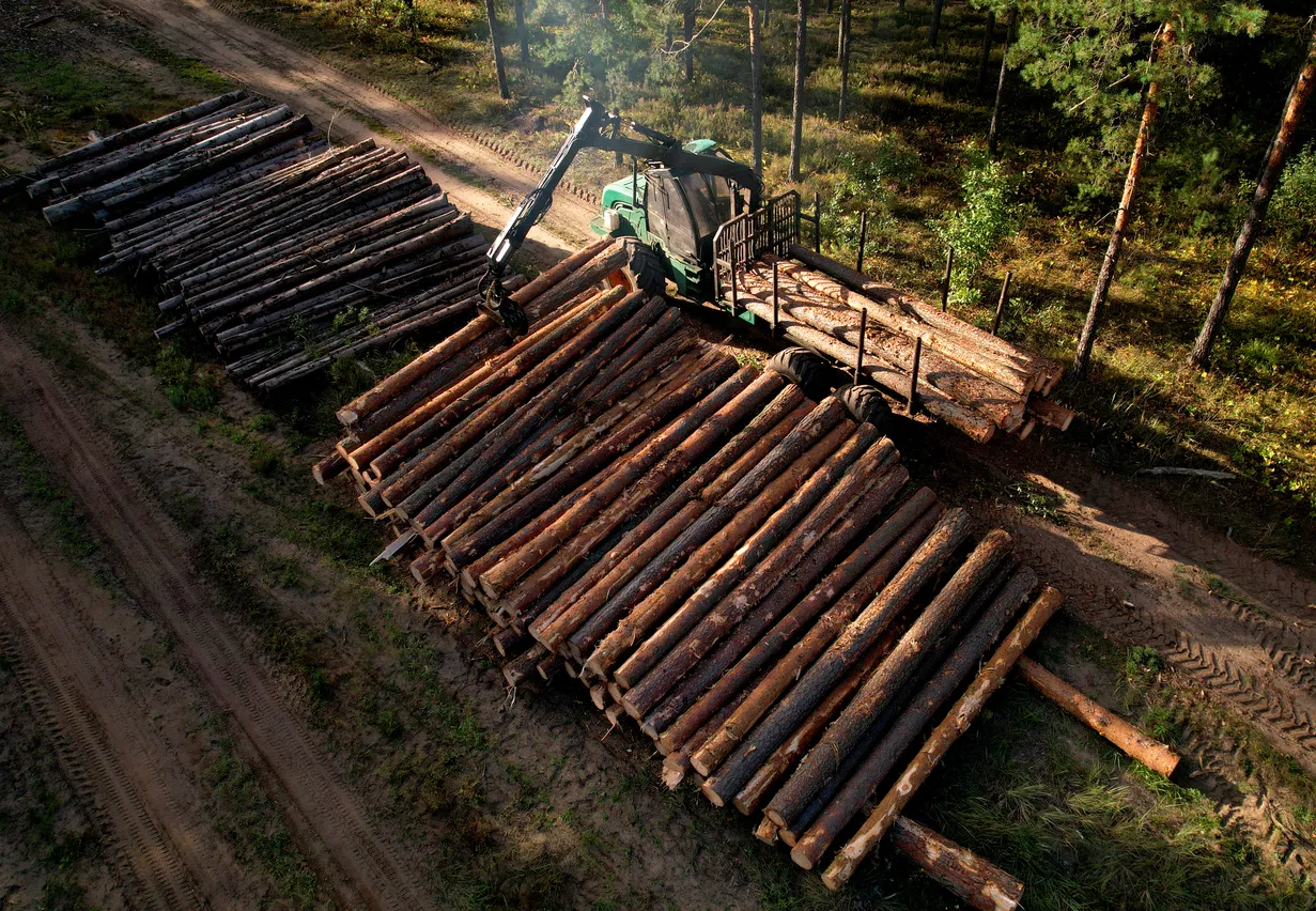 understanding sawmill needs