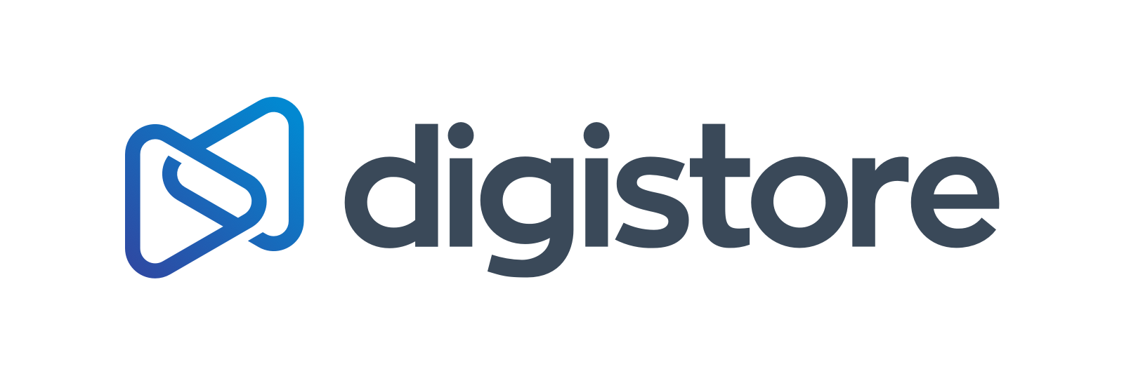 Digistore Logo