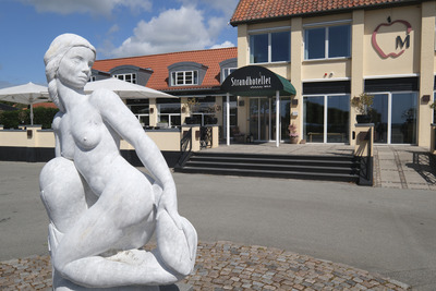 Fransk, Brasserie, Bøf, Klassisk
