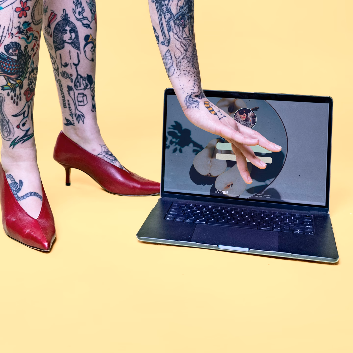 Artist using Venue to manage their library of flash