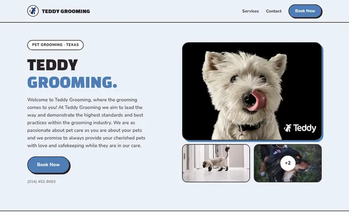 Biscuit Booking Website template for Teddy Grooming, with a bold all caps headline, outlined buttons and outlined photo cards