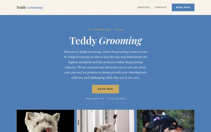 Velvet Booking Website template for Teddy Grooming, with an elegant serif headline on a full color band and a row of pet photos