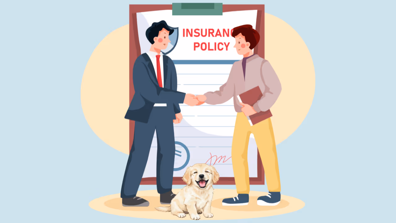 Pet Grooming Business Insurance Guide