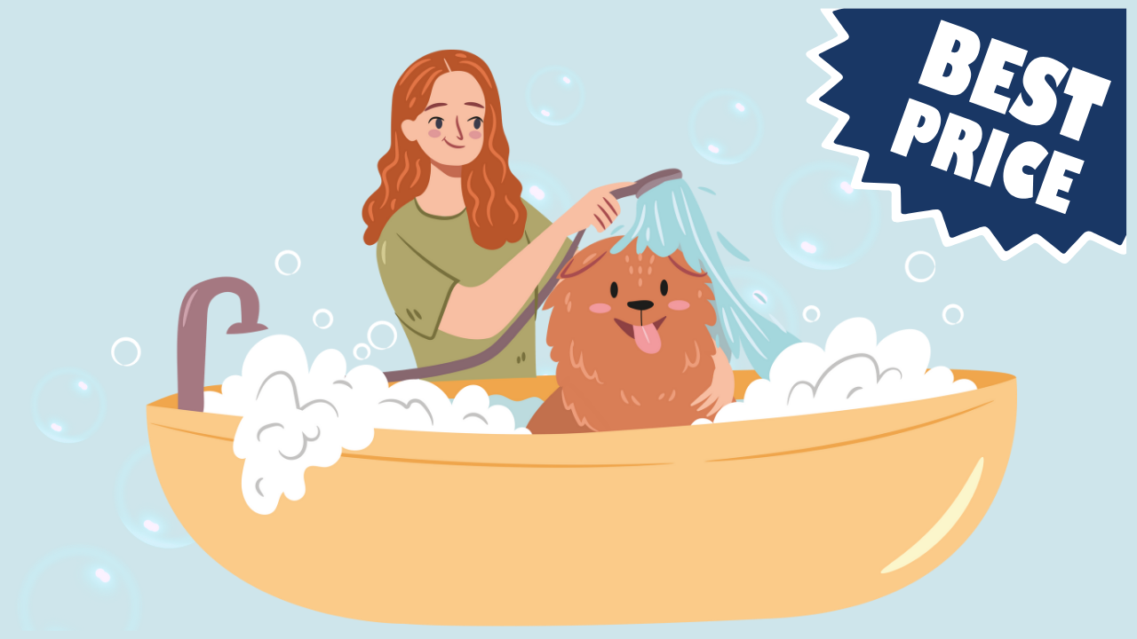 Dog Grooming Pricing Guide: What to Charge