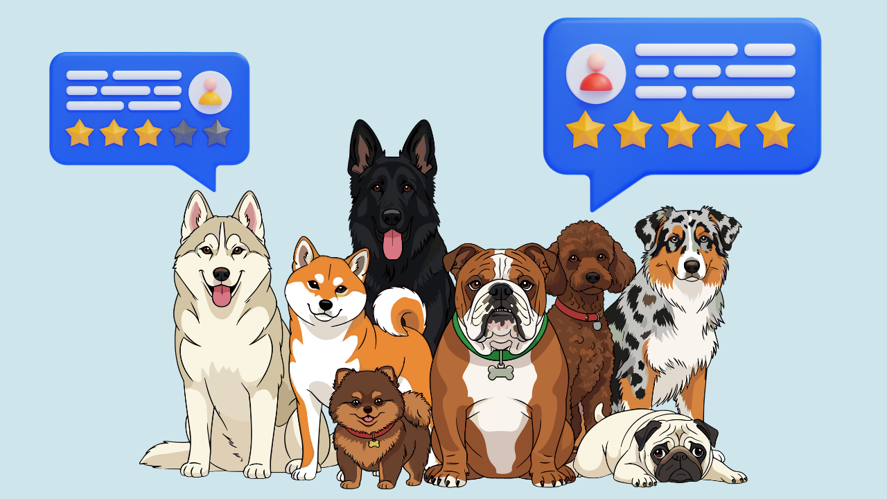 How to Get Dog Grooming Clients Fast