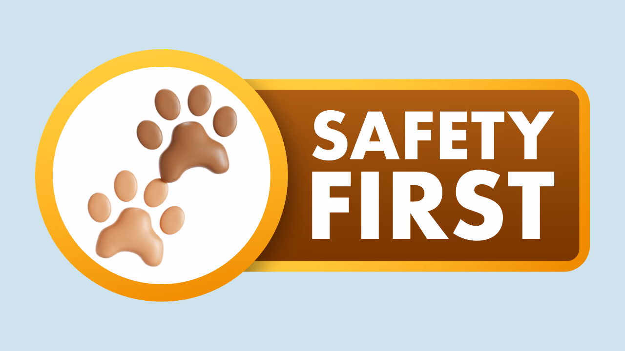 Health and Safety Equipment Every Groomer Needs