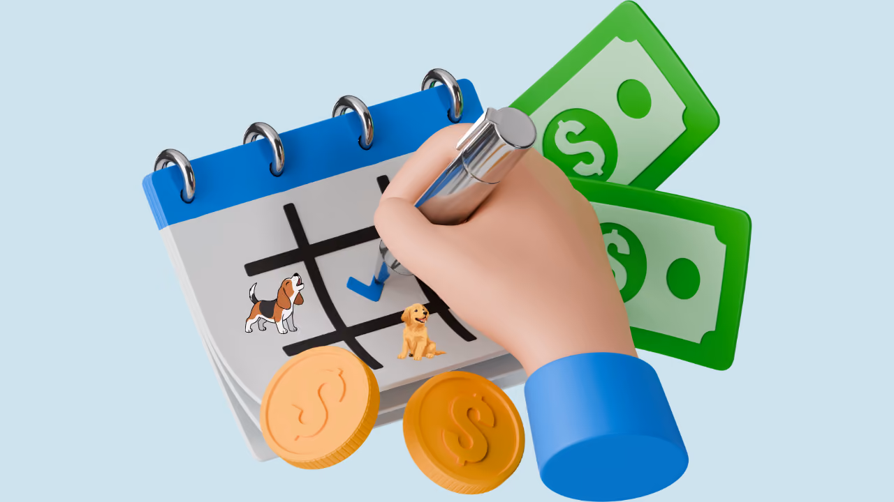 Dog Grooming Salary: What You Can Actually Earn
