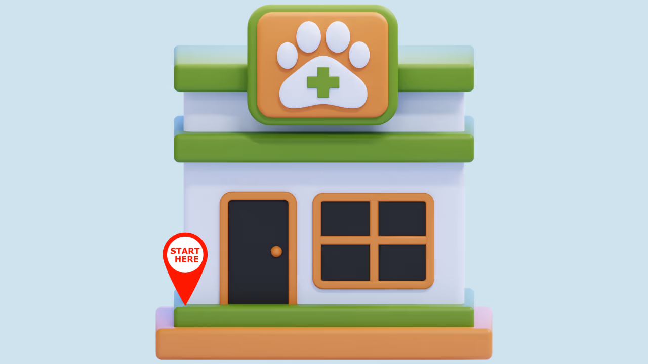 How to Start a Dog Grooming Business