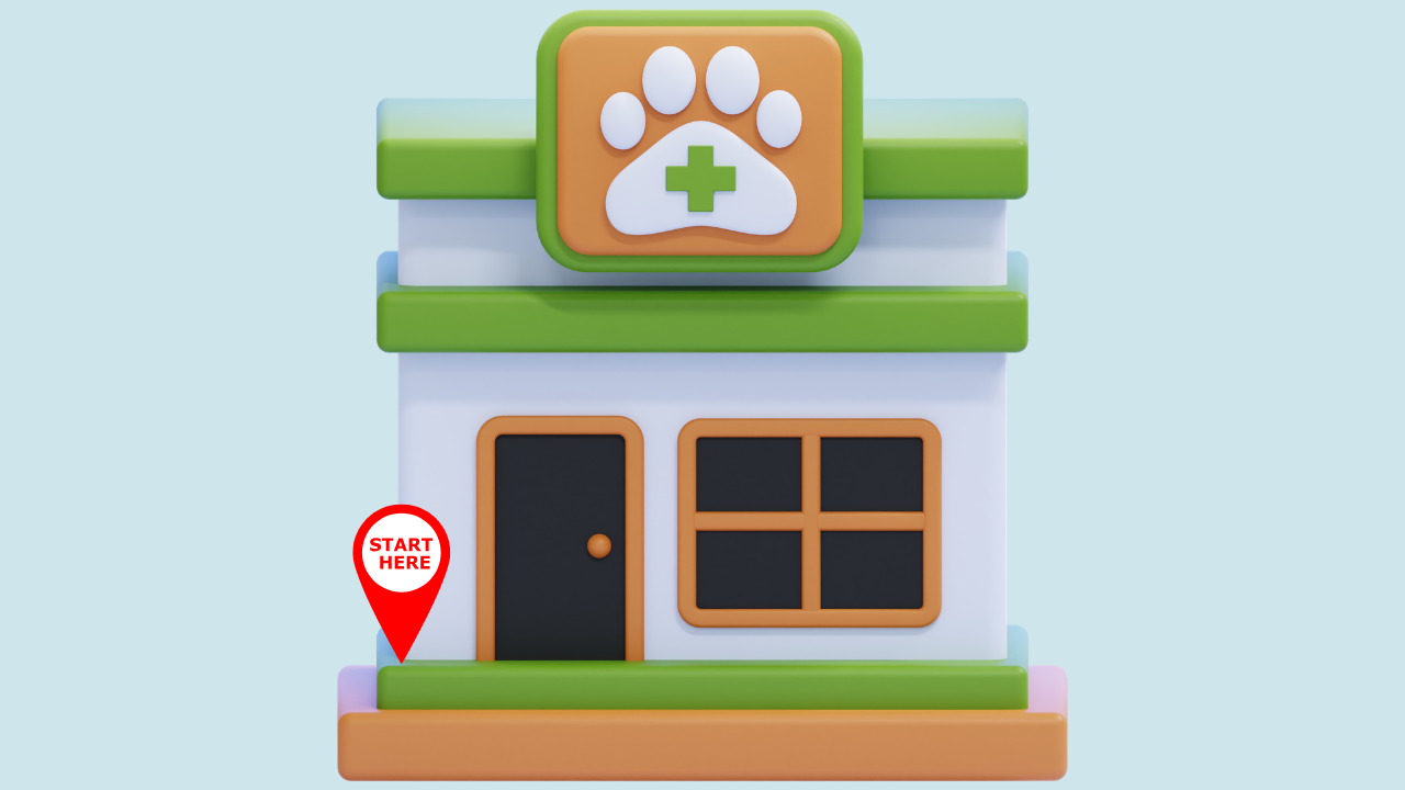 How to Start a Dog Grooming Business